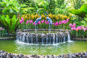 Best Places to Explore in Singapore - Singapore Botanic Gardens.