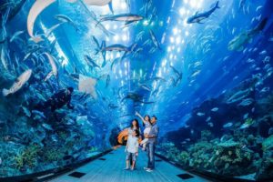 Dubai Aquarium: activities in Dubai