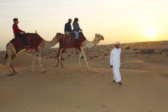 Desert Safari is the answer on question what to do in Ajman