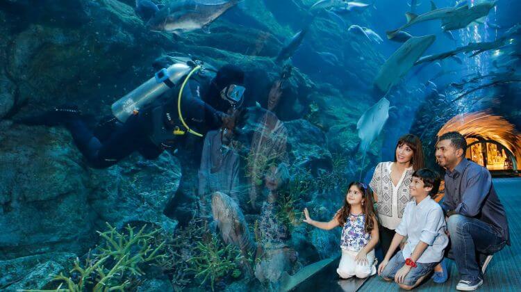 Dubai Aquarium is one of the open Dubai activities