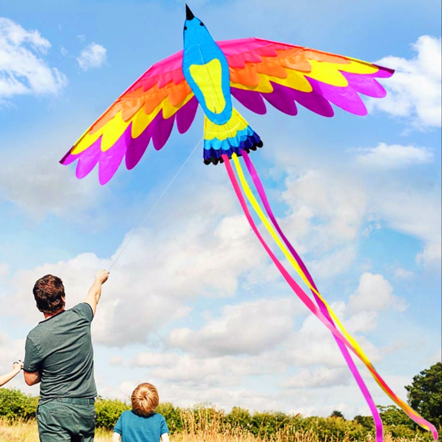 Kite Festival Dubai 2020. Most Important Information TicketsToDo