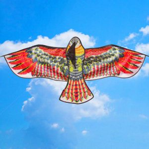 Eagle Kite festival dubai