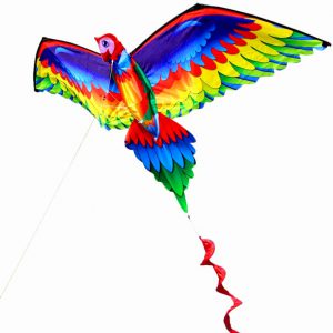 Parrot Kite with Tail kite festival dubai