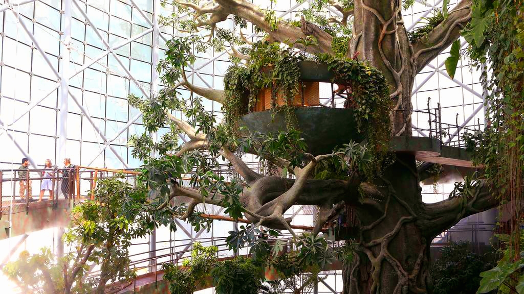 Indoor Amazon Rainforest? Let Green Planet Dubai enchant you