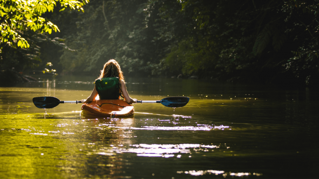 Qatar Mangrove Kayaking