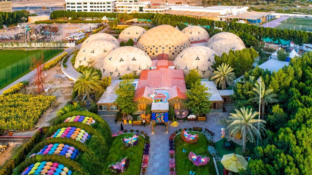 Dubai Butterfly Garden