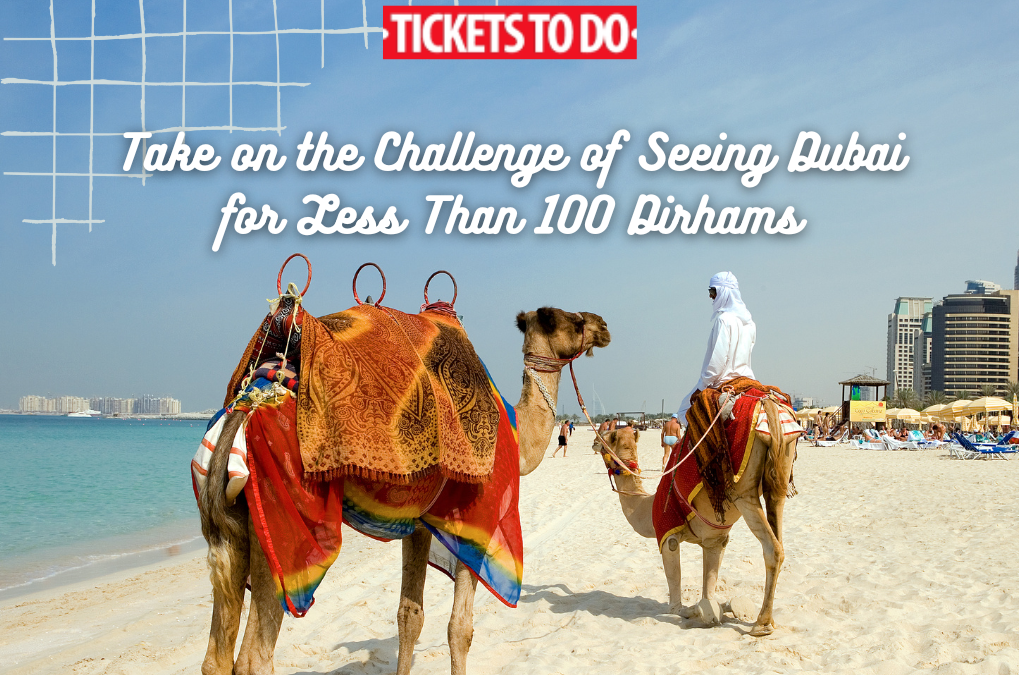 Take on the Challenge of Seeing Dubai for Less Than 100 Dirhams