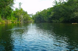 An aerial perspective of Broadwater Parklands, showing vast expanses of green 'Great Lawn' meeting a series of reed-filled filtration ponds. The dark green canopy of coastal forest remnants contrasts with the light turquoise of the tidal lagoon and the deeper sapphire of the main marine channel.