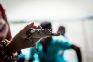 Places to Visit in Malaysia Crocodile Adventureland