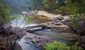 An easy, paved rainforest walk winding alongside the gently flowing Currumbin Creek. The smooth path is shaded by a dense overhead canopy and is bordered by lush verdant landscapes. Small wooden bridges and rock steps lead toward the water's edge, where the creek gathers into a calm, lake-like swimming hole.