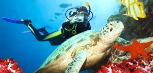 Doha Scuba Diving tickets