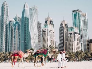 Things to do in Dubai during World Expo