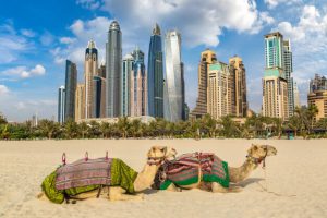 Free things to do in Dubai