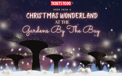 Step into a Christmas Wonderland at the Gardens by the Bay Christmas event