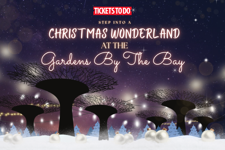 Step into a Christmas Wonderland at the Gardens by the Bay Christmas event