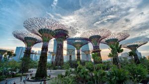 Things to do in Singapore