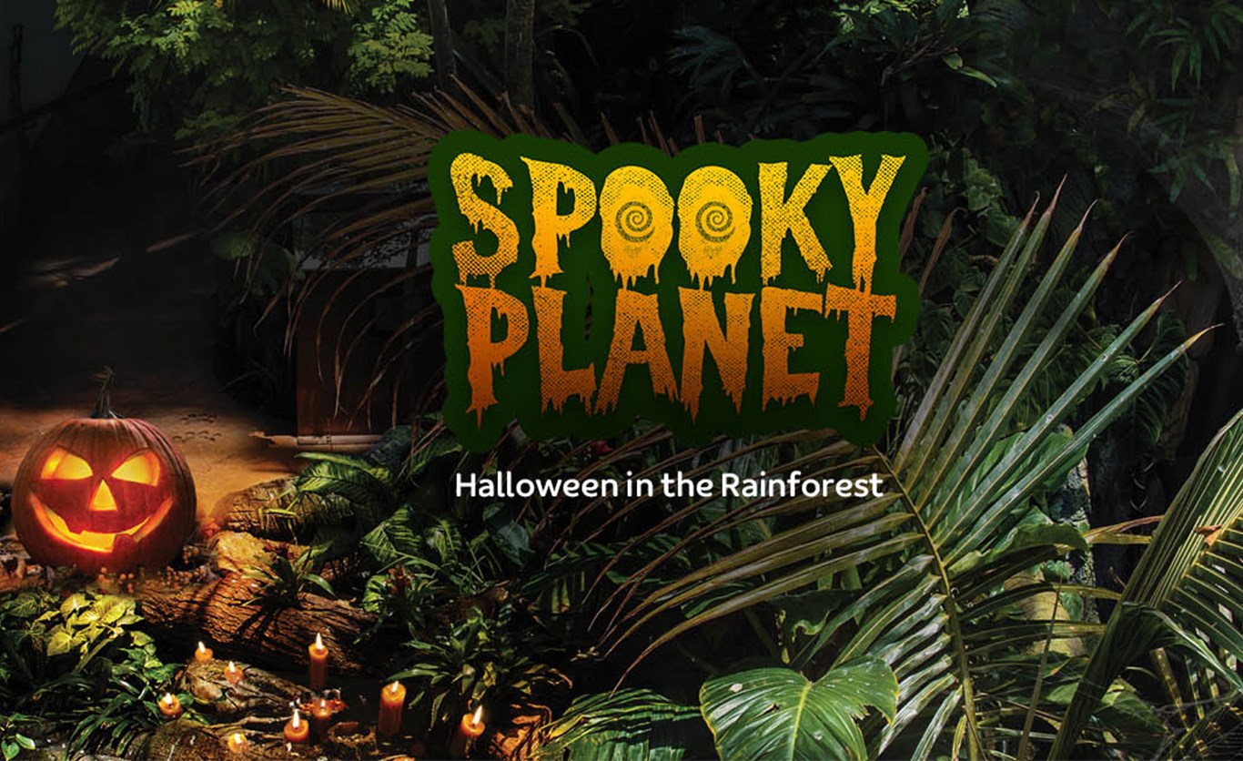 A poster titled "Spooky Panet" on the backdrop of rainforest and pumpkins at the Green Planet