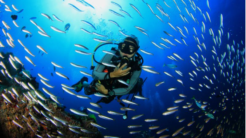 Suba diving in Doha
