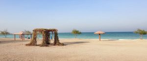 qatar beaches