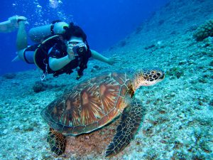 Snoopy Island is one of the best places to visit in Fujairah