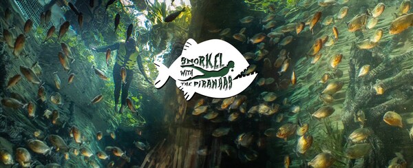 Snorkel-with-the-Piranhas-at Green Planet Dubai