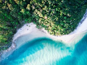 An aerial view of Tallebudgera Creek on the Gold Coast, showing a wide turquoise estuary bordered by the lush green headland of Burleigh Head National Park on one side and a white sandy beach on the other. The clear water transitions from pale blue over shallow sandbars to deep sapphire where the creek meets the breaking waves of the ocean.