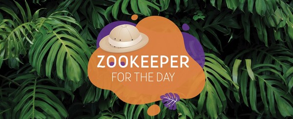 Be a Zookeeper for the Day