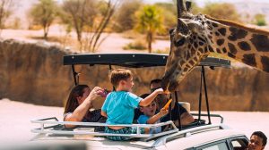 al ain zoo 
