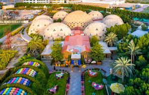 Dubai Butterfly Garden