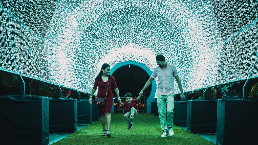 Walk of lights at the Gardens by the Bay Christmas