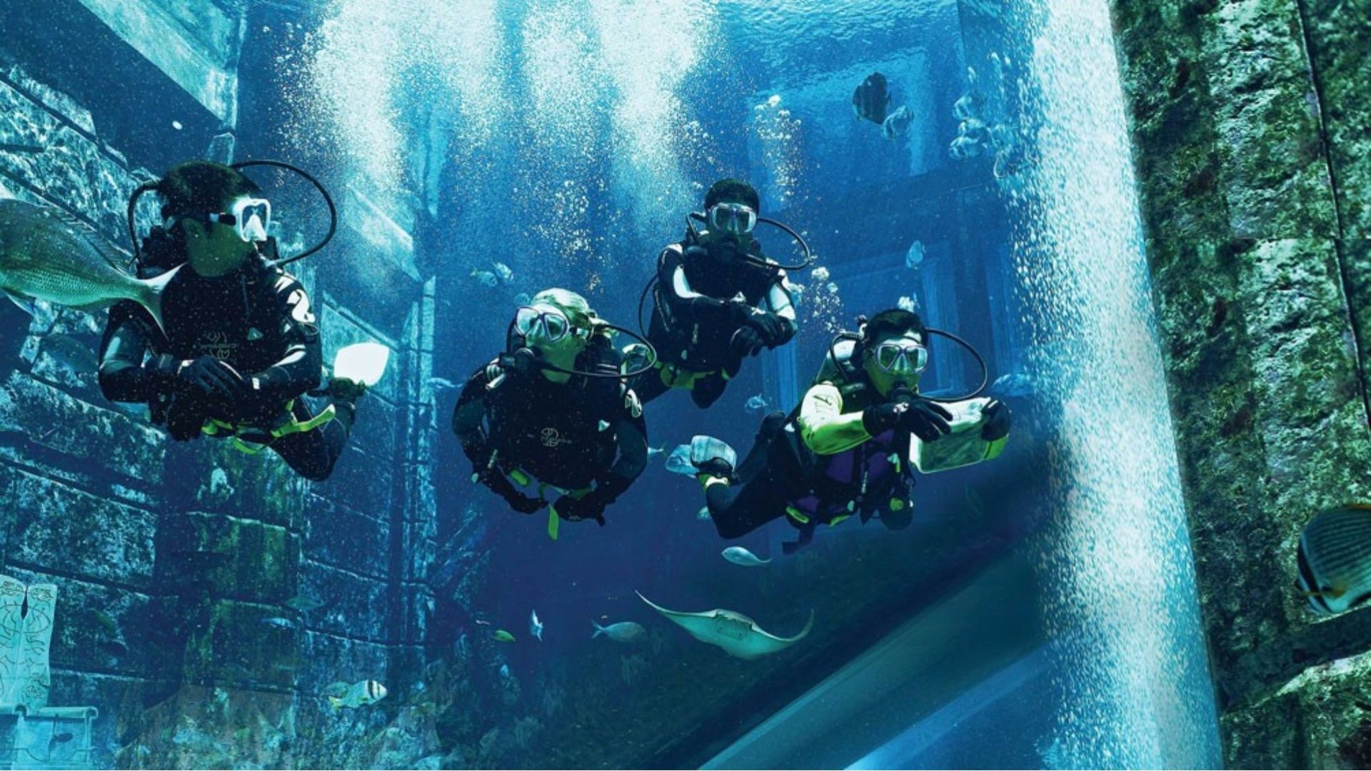 Four divers underwater swimming with the fishes and other marine life
