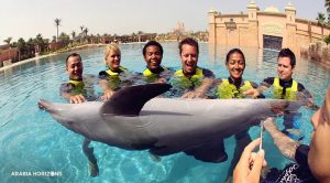 Dolphin Bay at The Atlantis, Palm Jumeirah