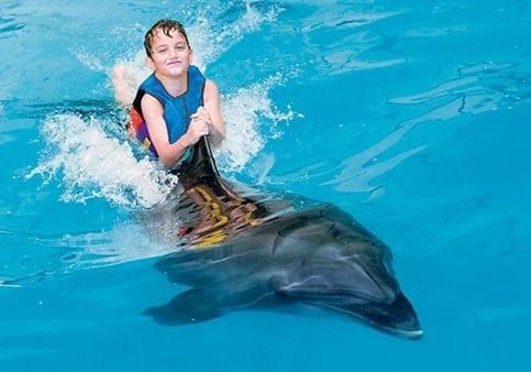 Dubai Dolphinarium 2020