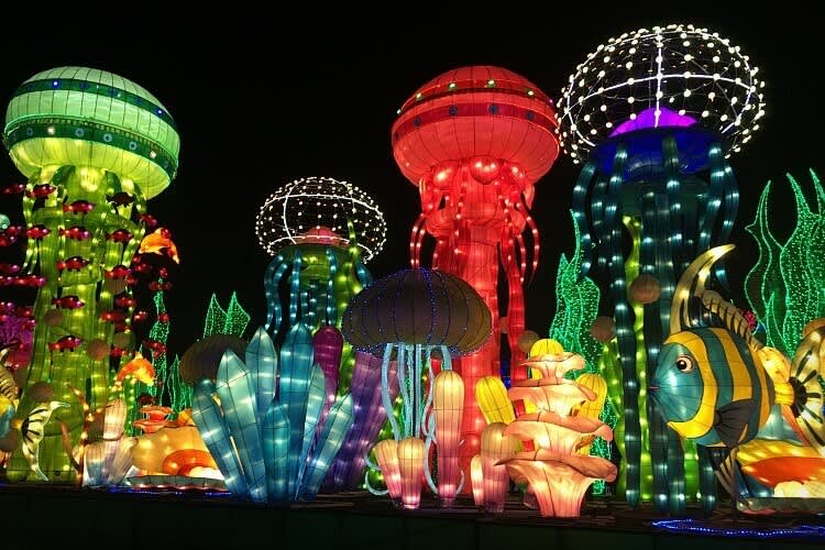 Dubai Garden Glow is one of the top parks in Dubai