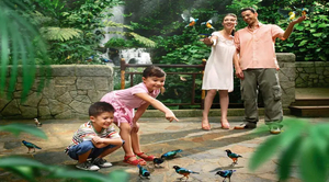 Jurong Bird Park