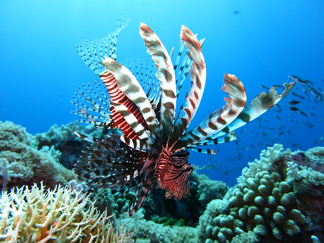 Kuala Lumpur aquarium