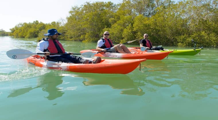 Qatar Mangrove Kayaking