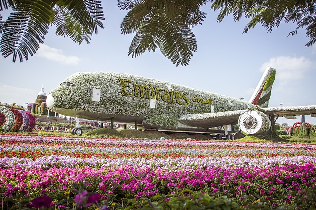 miracle garden dubai route