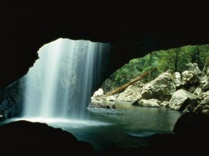 Inside the Natural Bridge cave at Springbrook, a waterfall plunges through a hole in the cave ceiling, with green ferns and moss-covered rocks forming a scenic, shaded grotto. 