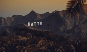 Hatta Safari Dubai tickets from TicketsToDo