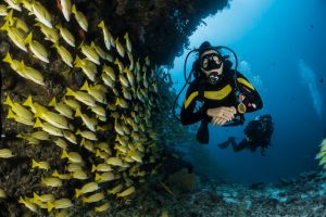 Doha Scuba diving 
