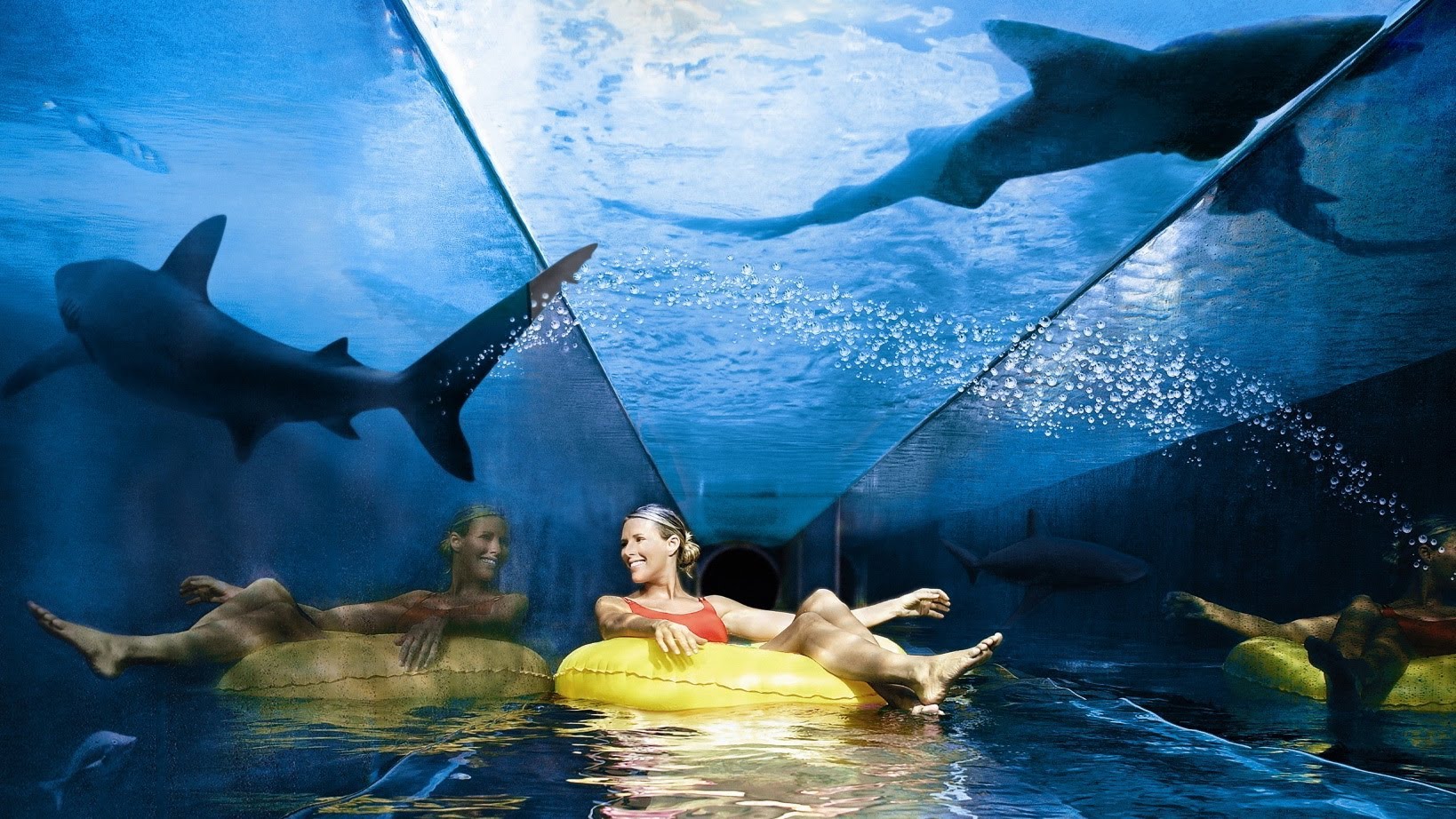 A woman floating in a tube inside a glass tunnel with sharks swimming on the other side