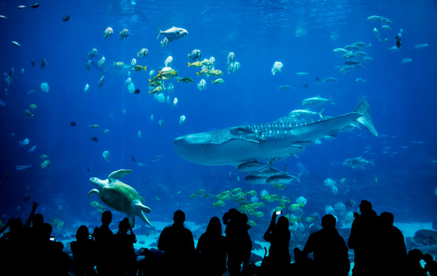 Aquarium in Kuala Lumpur