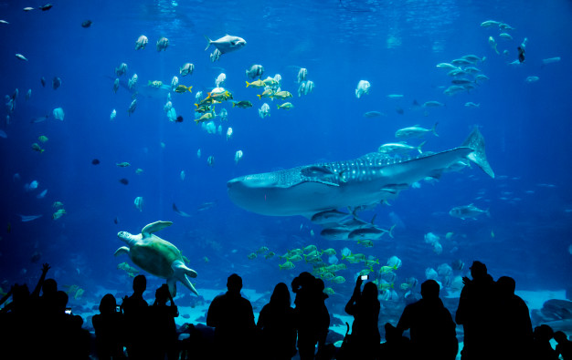 Aquarium in Kuala Lumpur