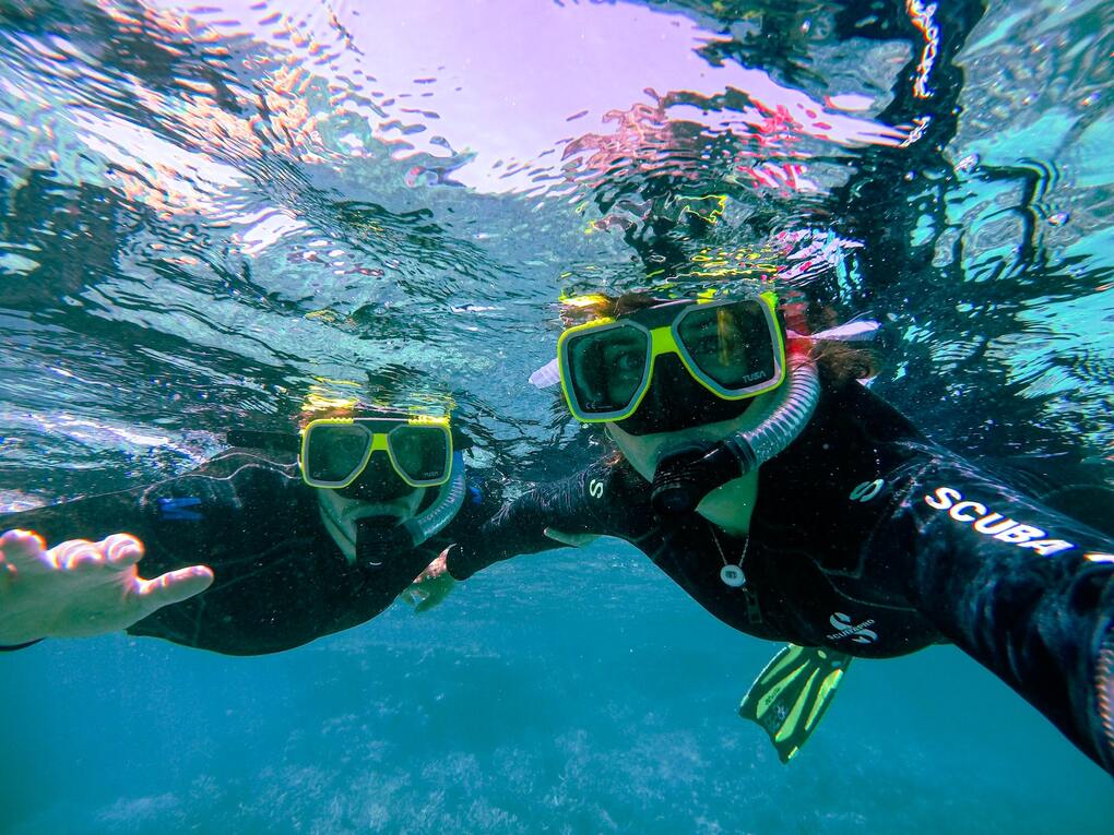 Nemo Diving Center - From Dubai: Snorkeling Trip to Fujairah