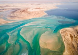 Inland Sea Qatar Tours